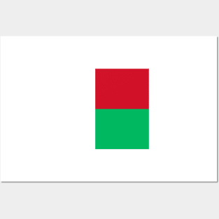 Madagascar flag Posters and Art